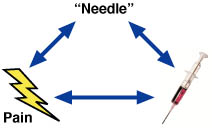 Relational-Frame-Theory-2-8