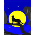 night-owl